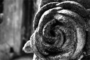 Friedhof--Rose-b